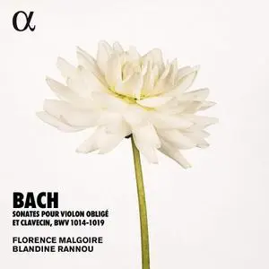 Florence Malgoire, Blandine Rannou - Bach: Sonates pour violon oblige et clavecin, BWV 1014-1019 (2019)