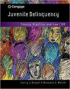 Juvenile Delinquency: Theory, Practice, and Law