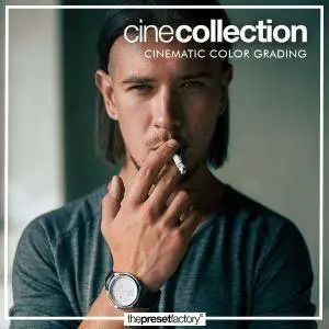 The Preset Factory - Cine Collection Bundle Lightroom and ACR Presets