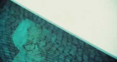 Quatsch und die Nasenbärbande (2014)