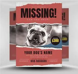 Lost Dog Flyer 5