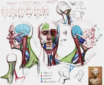 Analytical Figure Drawing