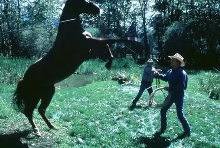 L'homme qui murmurait a l'oreille des chevaux  (1998) 