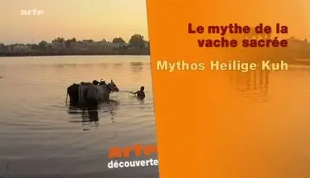 (Arte) Le mythe de la vache sacrée (2011)