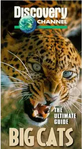  Discovery Channel Big Cats : The Ultimate Guide