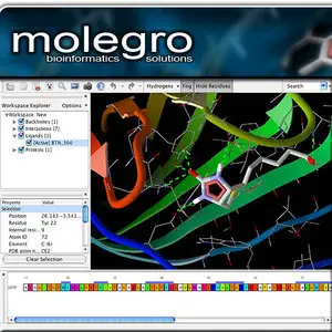 Molegro Virtual Docker 6.0.1