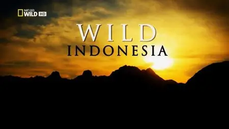 National Geographic - Destination Wild: Indonesia (2015)