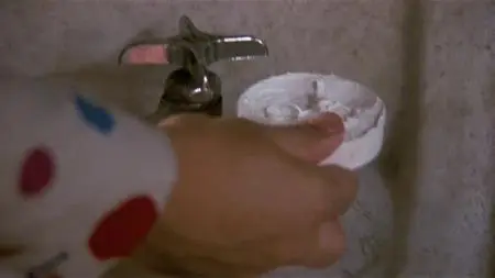 Shakes the Clown (1991)