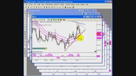 Raghee Horner Forex trader Package (2010)