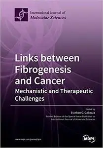 Links between Fibrogenesis and Cancer: Mechanistic and Therapeutic Challenges