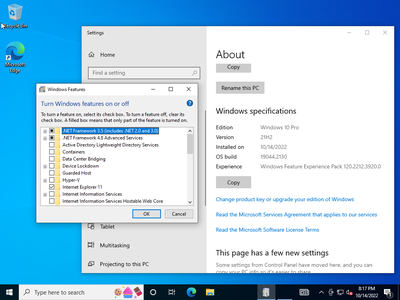 Windows 10 Pro 21H2 Build 19044.2130 Multilingual (x64) Preactivated October 2022