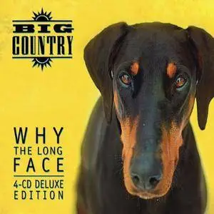 Big Country - Why the Long Face? (Deluxe Expanded Box Set) (1995/2018)