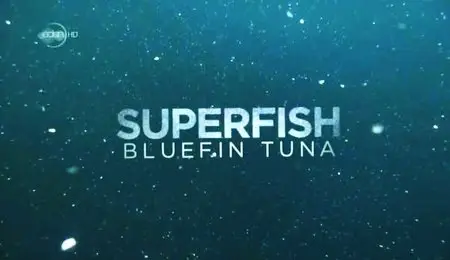 UKTV - Superfish: Bluefin Tuna (2010)