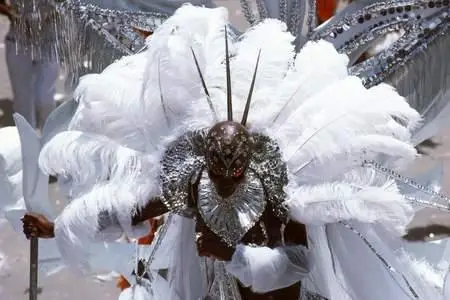 Imagestate SS12 Carnival In Rio