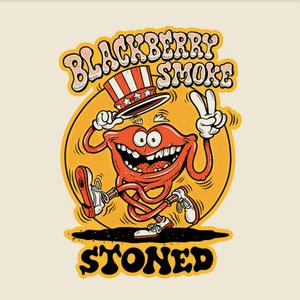 Blackberry Smoke - Stoned (Record Store Day 2021 Vinyl) (2021) [24bit/96kHz]