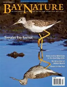 Bay Nature Magazine - July-September 2015
