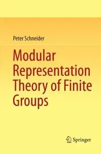 Modular Representation Theory of Finite Groups (Repost)