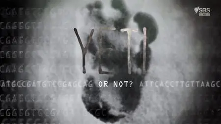 Yeti or Not (2016)