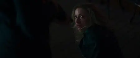 The Painter (2024)