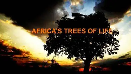 Discovery Channel - Africa's Trees of Life (2016)