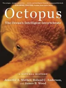 Octopus: The Ocean's Intelligent Invertebrate (repost)