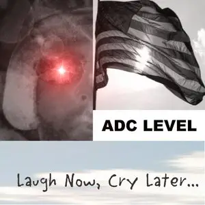Adc Level - CD 40: 2006-2009