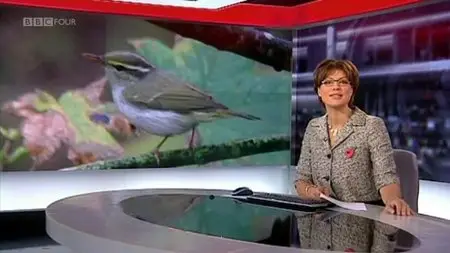 BBC - Twitchers: A Very British Obsession (2010)