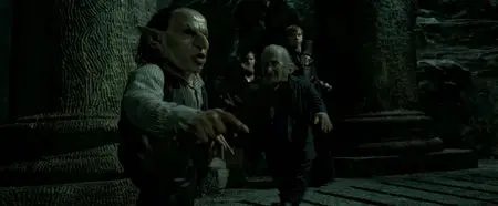 Harry Potter and the Deathly Hallows: Part 2 (2011)