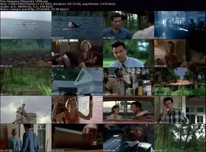 Heaven's Prisoners (1996)