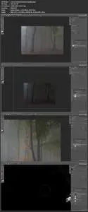 Editing Foggy Forests in Photoshop