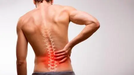 The Ultimate Guide for Low Back Pain: Mend your body support