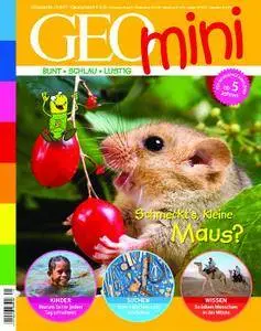 Geomini - November 2017