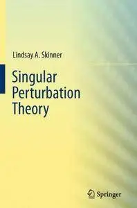Singular Perturbation Theory (Repost)