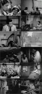 Bandini (1963)