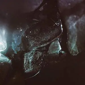 Son Lux - Remnants (2019) [Official Digital Download]