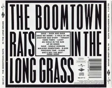 The Boomtown Rats - In The Long Grass (1984)