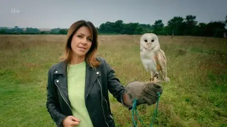 ITV - The Wonder of Britain: Series 1 (2015)