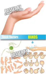 Hands - Stock Vectors