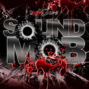 MVP Loops Sound Mob MULTiFORMAT / LiVE