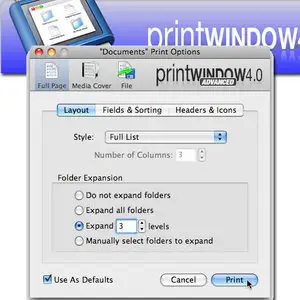 Print Window 4