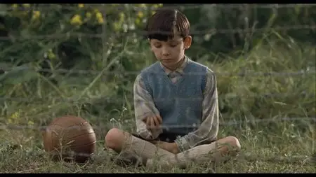The Boy in the Striped Pajamas (2008)