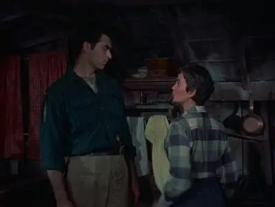 A Bullet Is Waiting (1954)