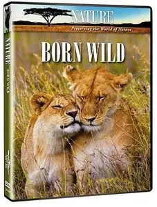 PBS NATURE - Born Wild: The First Days of Life (2010)