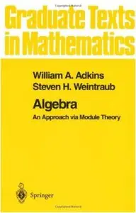 Algebra: An Approach via Module Theory (repost)