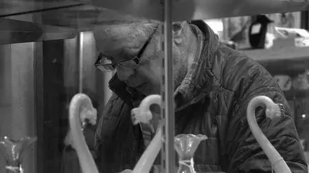 Don't Blink - Robert Frank (2015)