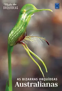 Mestre das Orquídeas - Edição 21 2024