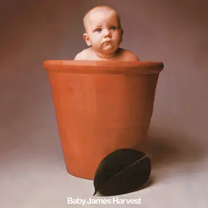 Barclay James Harvest - Baby James Harvest (1972/2026) [Official Digital Download 24/96 | 5.1]