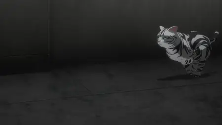 Nyaight of the Living Cat S01E02 Tonight the Cats Steal the Stars