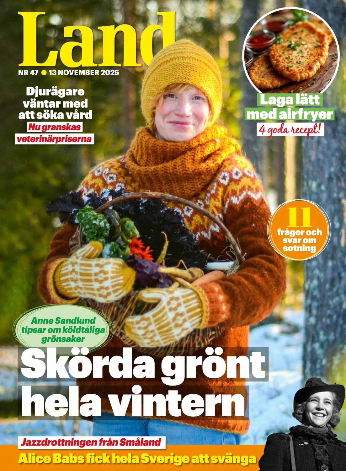 Land - 13 November 2025