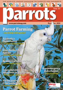 Parrots - December 2024